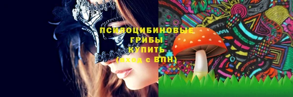 бутират Горно-Алтайск