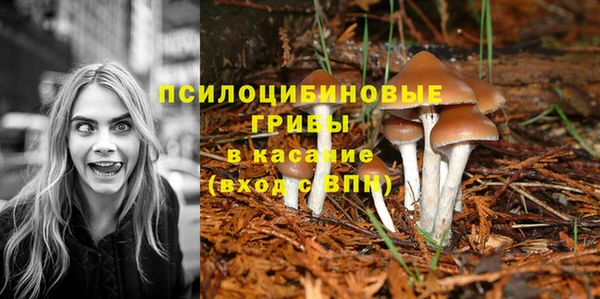 мяу мяу мука Горняк