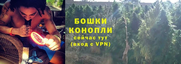мяу мяу мука Горняк