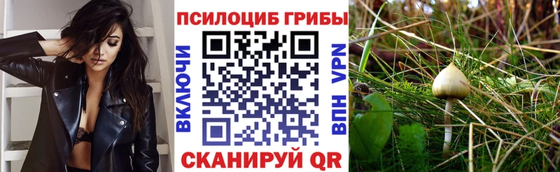 Купить закладки  Петушки  Псилоцибиновые грибы ЛСД 